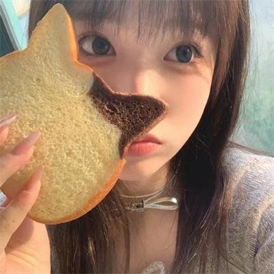 完美的主人